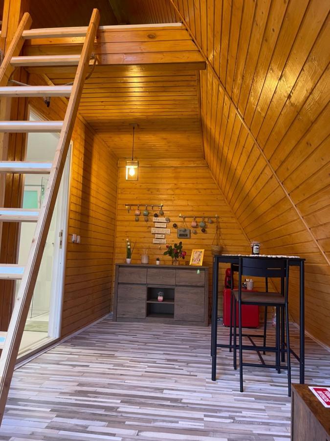 Cabane A-Frame Svinita Экстерьер фото