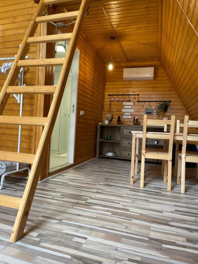 Cabane A-Frame Svinita Экстерьер фото