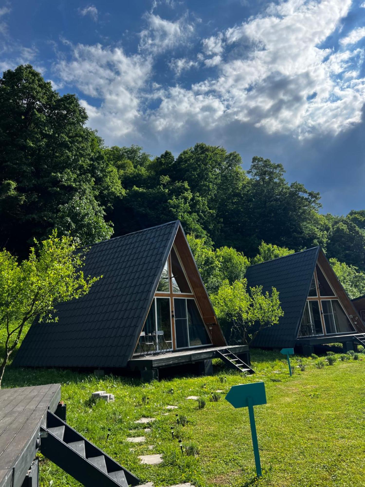 Cabane A-Frame Svinita Экстерьер фото