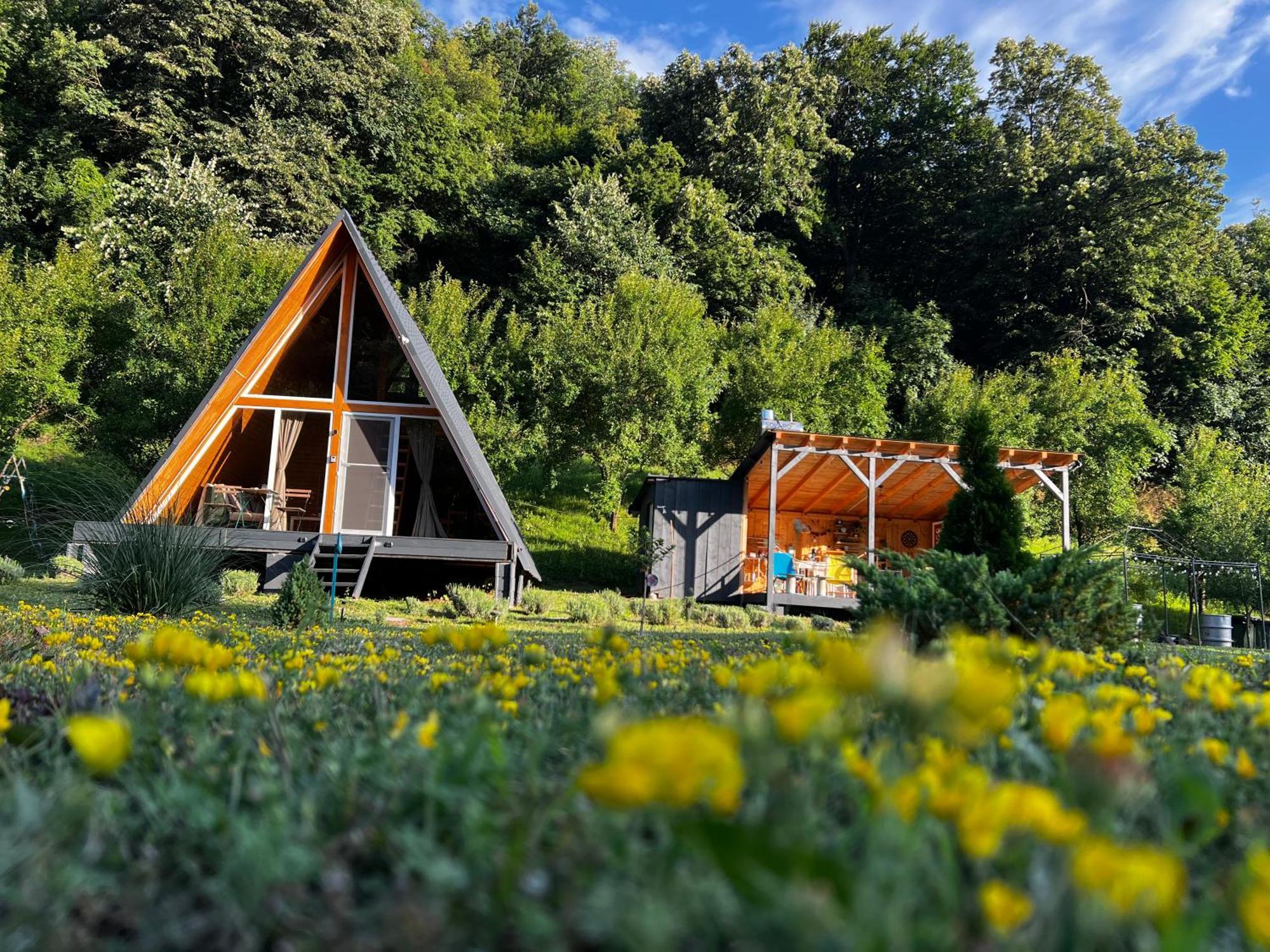Cabane A-Frame Svinita Экстерьер фото